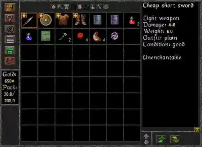 Zrzut ekranu z gry The Quest